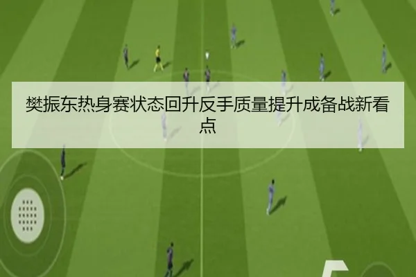 樊振东热身赛状态回升反手质量提升成备战新看点
